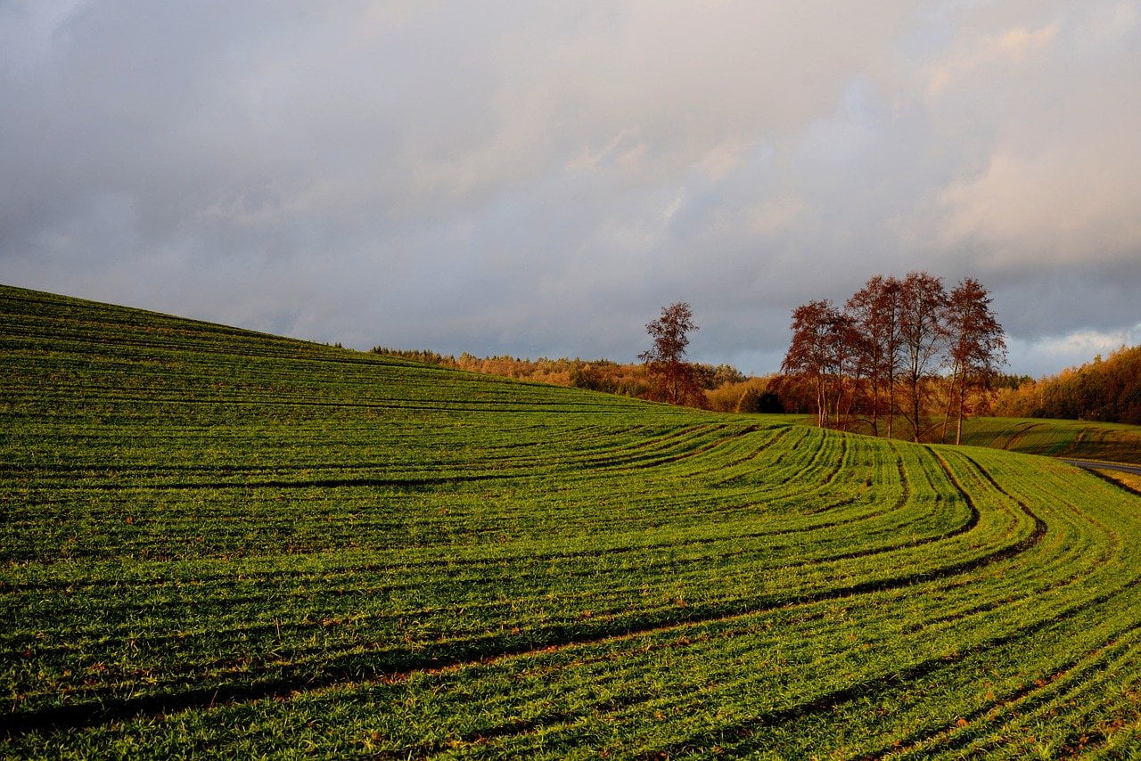 Cambia a normativa sobre fertilización agraria: máis tempo, máis control e novas obrigas para os agricultores