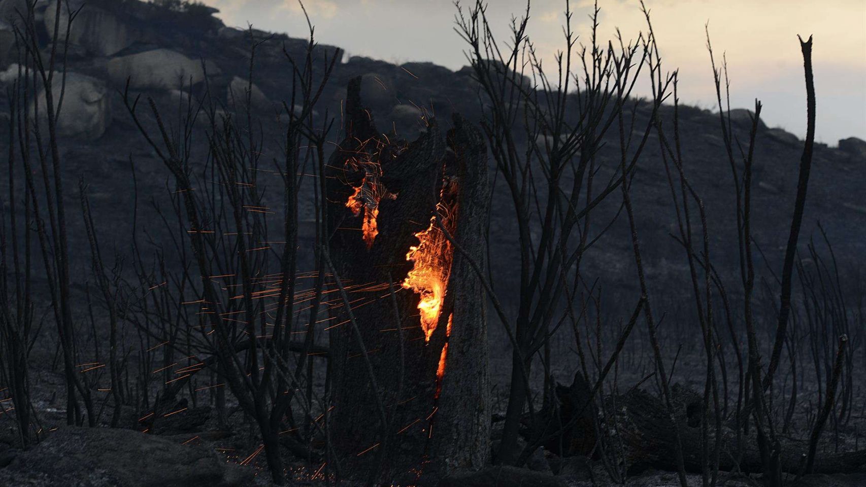 Controlados e estabilizados os incendios forestais en Galicia