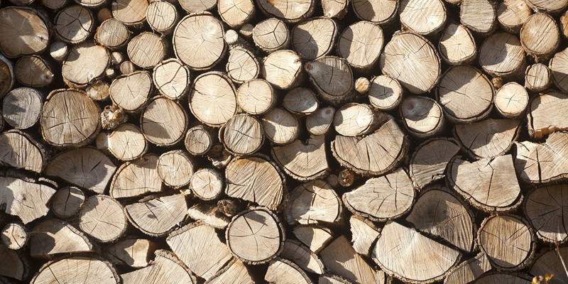 LIFE EcoTimberCell, un proxecto que potencia a madeira de orixe local na construción 