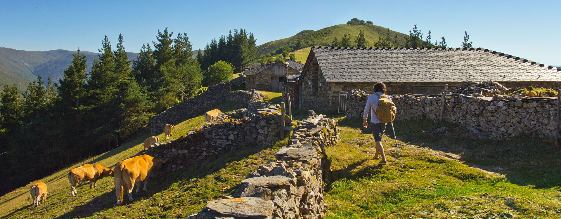 Ecoloxistas en Acción Galiza advirte de que o Camiño Primitivo pode ser “atropelado” pola Xunta e o Concello de Fonsagrada