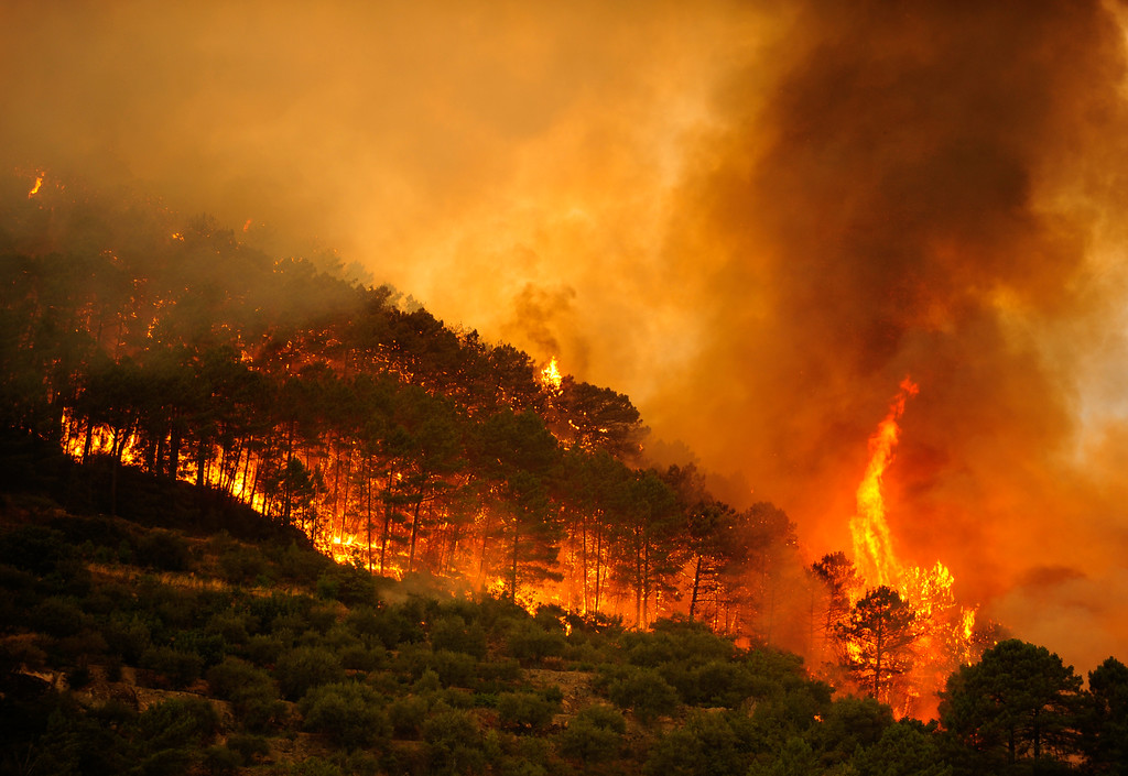 Incendios forestais en 2017