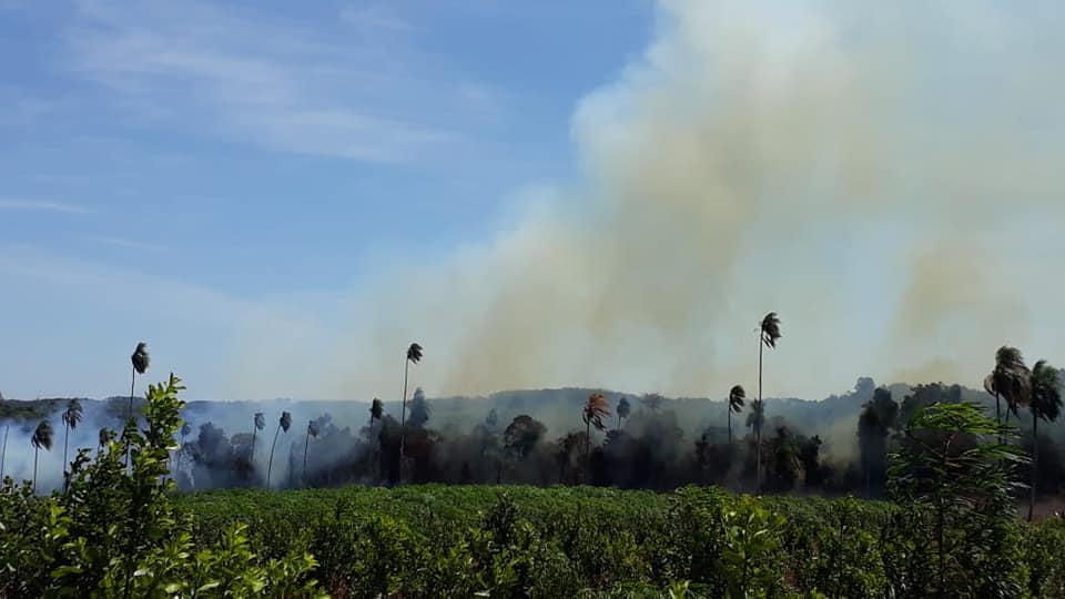 Administracións autonómicas aclaran as dúbidas sobre as queimas agrícolas da nova Lei de residuos