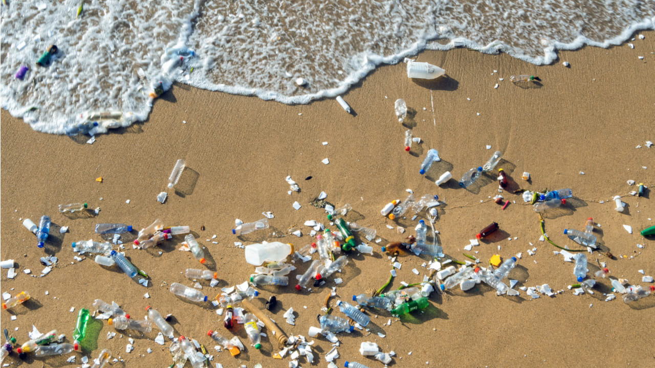 O problema dos residuos nas praias afecta cada ano aos ecosistemas mariños