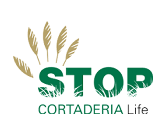 Galicia Ambiental desarrollará el nuevo “LIFE Stop Cortadería” en la comunidad