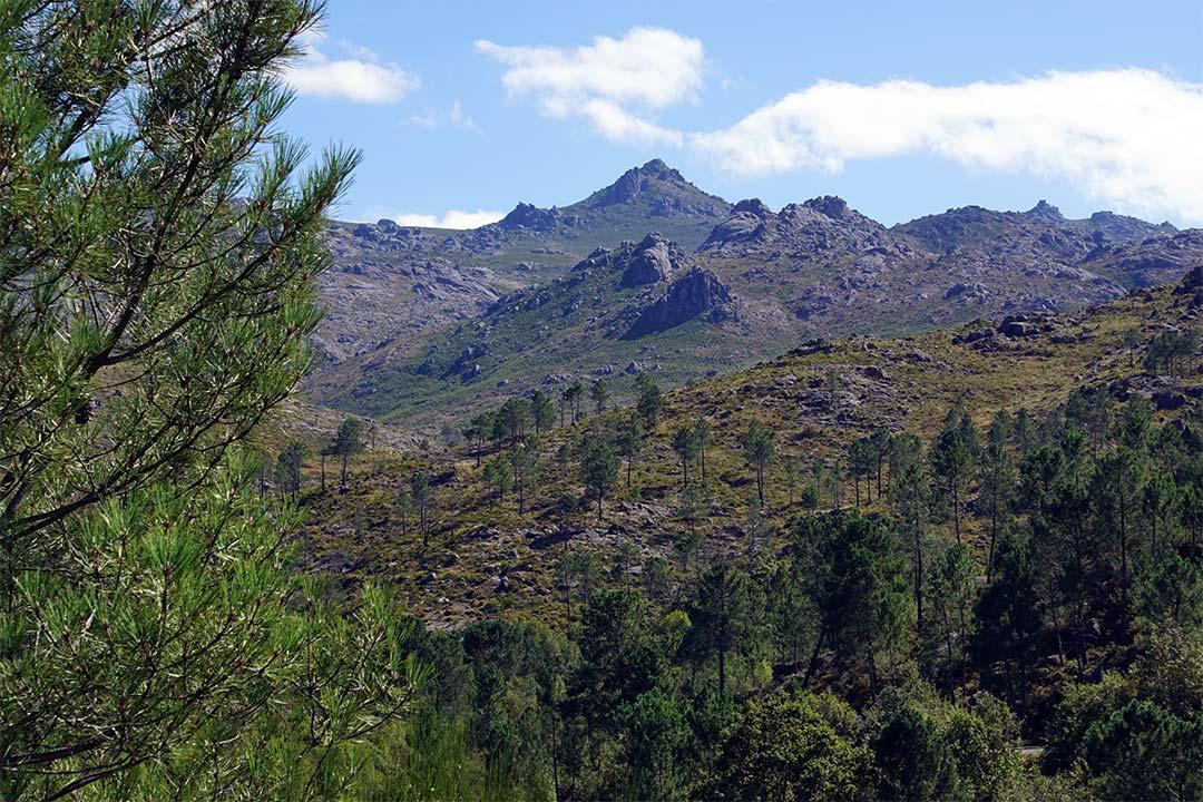 O incendio de Lobeira afecta directamente ao parque natural da Serra do Xurés